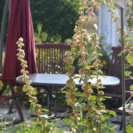 Feriendomizil-Usetom Villa Uckeritz Luaran gambar